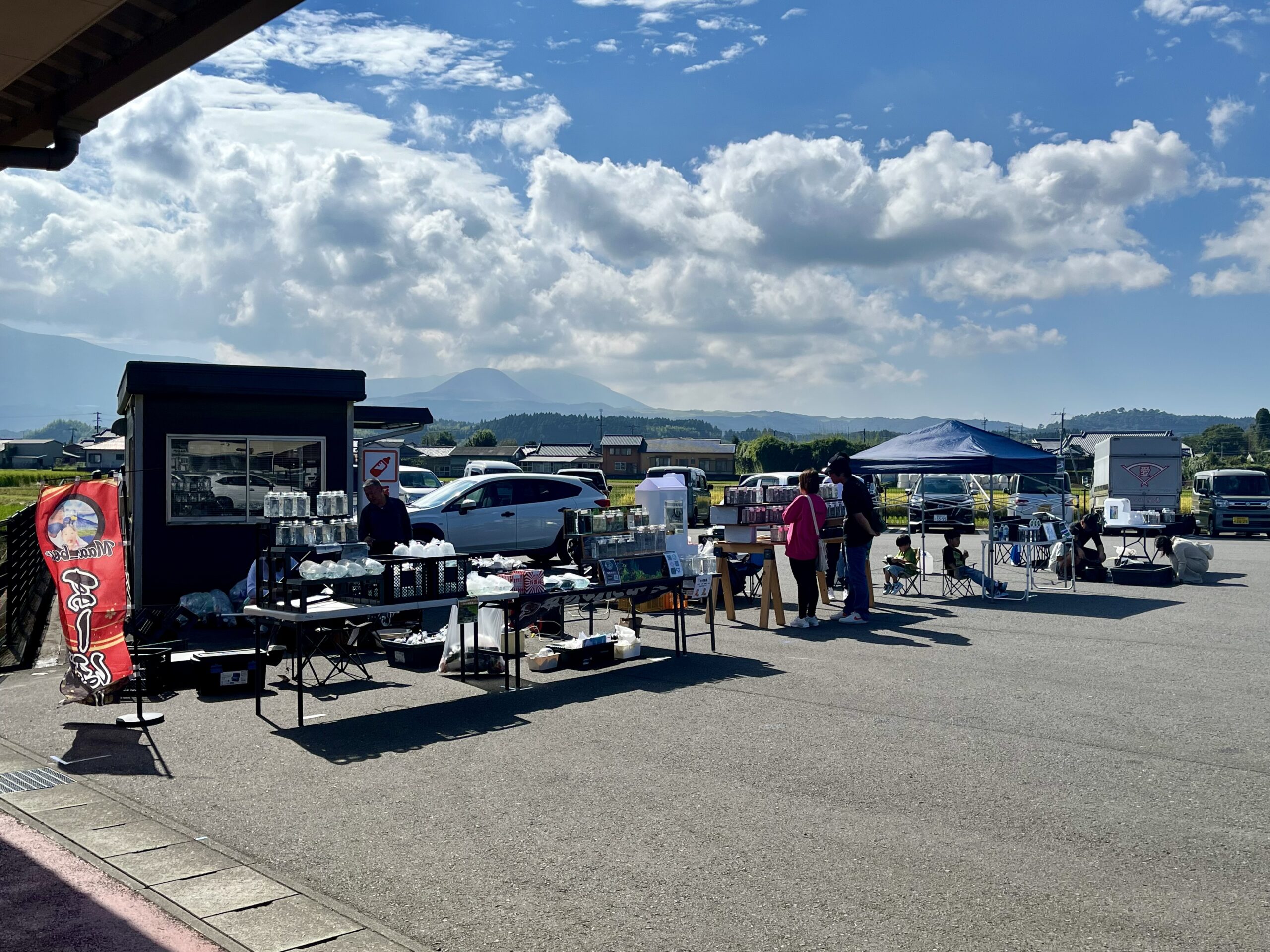 メダカフェスの様子