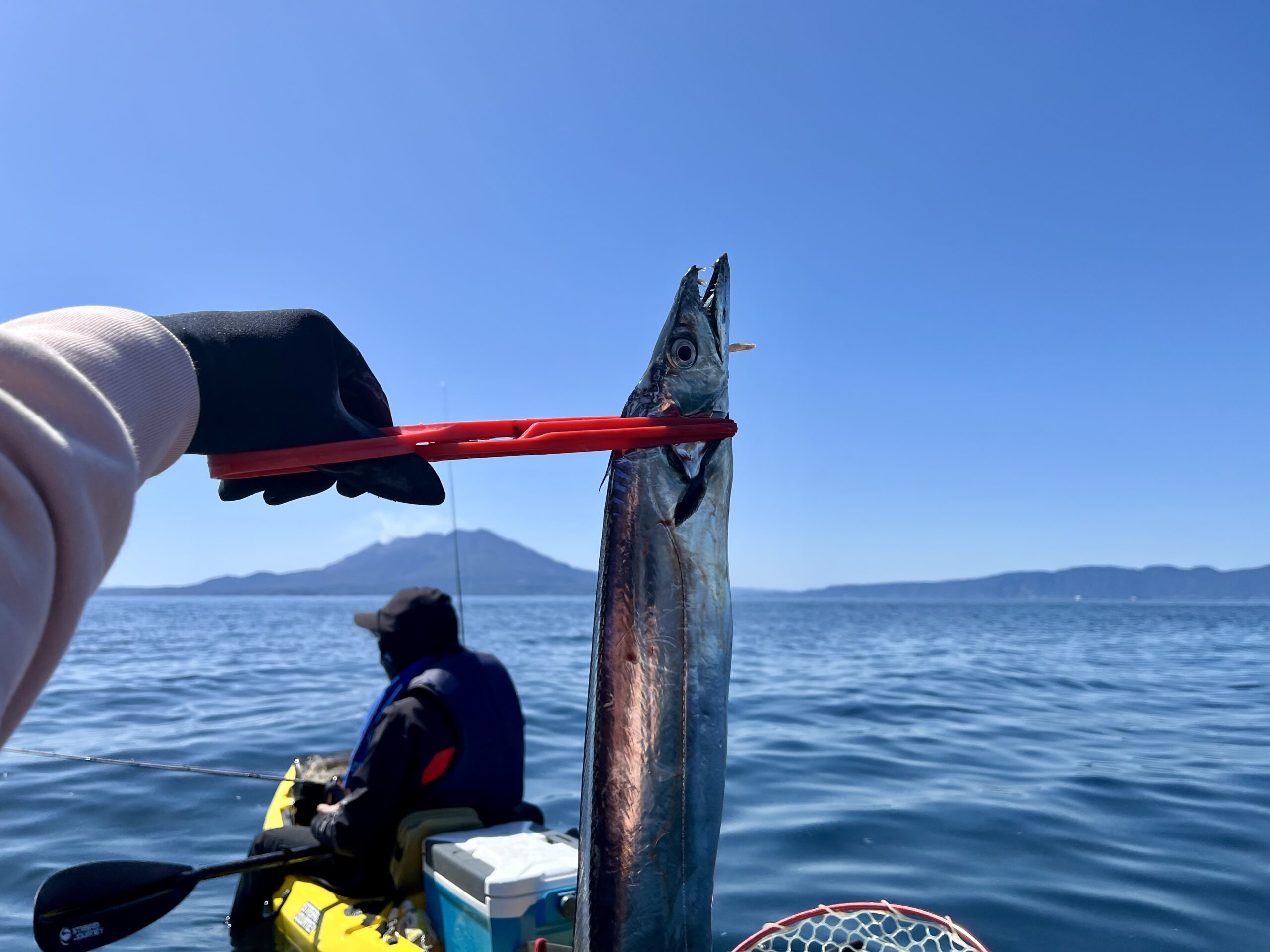 錦江湾デイ太刀魚 カヤック釣行